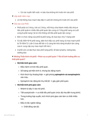 Có các tuyến tiết nước ⇒ bão hòa không khí trước khi vào phổi
Lớp dưới niêm mạc
có hệ thống mao mạch dày đặc⇒ sưởi ấm không khí trước khi vào phổi
Cấu tạo của Phổi:
Phổi phải có 3 thùy, trái có 2 thùy, mỗi thùy chia thành nhiều tiểu thùy⇒
tiểu phế quản⇒ nhiều tiểu phế quản tận cùng có 1 ống phế nang và cuối
cùng là phế nang ( là túi nhỏ thông với tiểu phế quản tận cùng )
Đơn vị chức năng của phổi là phế nang, đc bao bọc như 1 mạng lưới
Có độ 300x10^6 phế nang, diện tích tiếp xúc phế nang và mao mạch phổi
là 70-90m^2 ( cần S trao đổi lớn vì S càng lớn khả năng khuếch tán càng
cao⇒ cung cấp oxy mao mạch tốt hơn )
ở phổi còn có đại thực bào phế nang phổi, tế bào lympho, tương bào,
dưỡng bào
Những Thần kinh chi phối - Phản xạ co phế quản ? Yếu tố ảnh hưởng đến co
thắt phế quản?
Hệ thần kinh giao cảm:
Điều hành cơ trơn tiểu phế quản.
Số lượng sợi thần kinh ít, nhưng tác động mạnh.
Kích thích tủy thượng thận → giải phóng epinephrin và norepinephrin
vào máu.
Epinephrin tác động lên thụ thể β2 → gây giãn phế quản.
Hệ thần kinh phó giao cảm:
Nhánh từ dây X vào mô phôi.
Tiết acetylcholin → co thắt tiểu phế quản (mức độ nhẹ đến trung bình).
Trong trường hợp suyễn, kích thích phó giao cảm làm co thắt nhiều
hơn.
Điều trị tắc nghẽn bằng:
Chất đồng vận β2.
Sinh Lý Hô Hấp anki 7
 