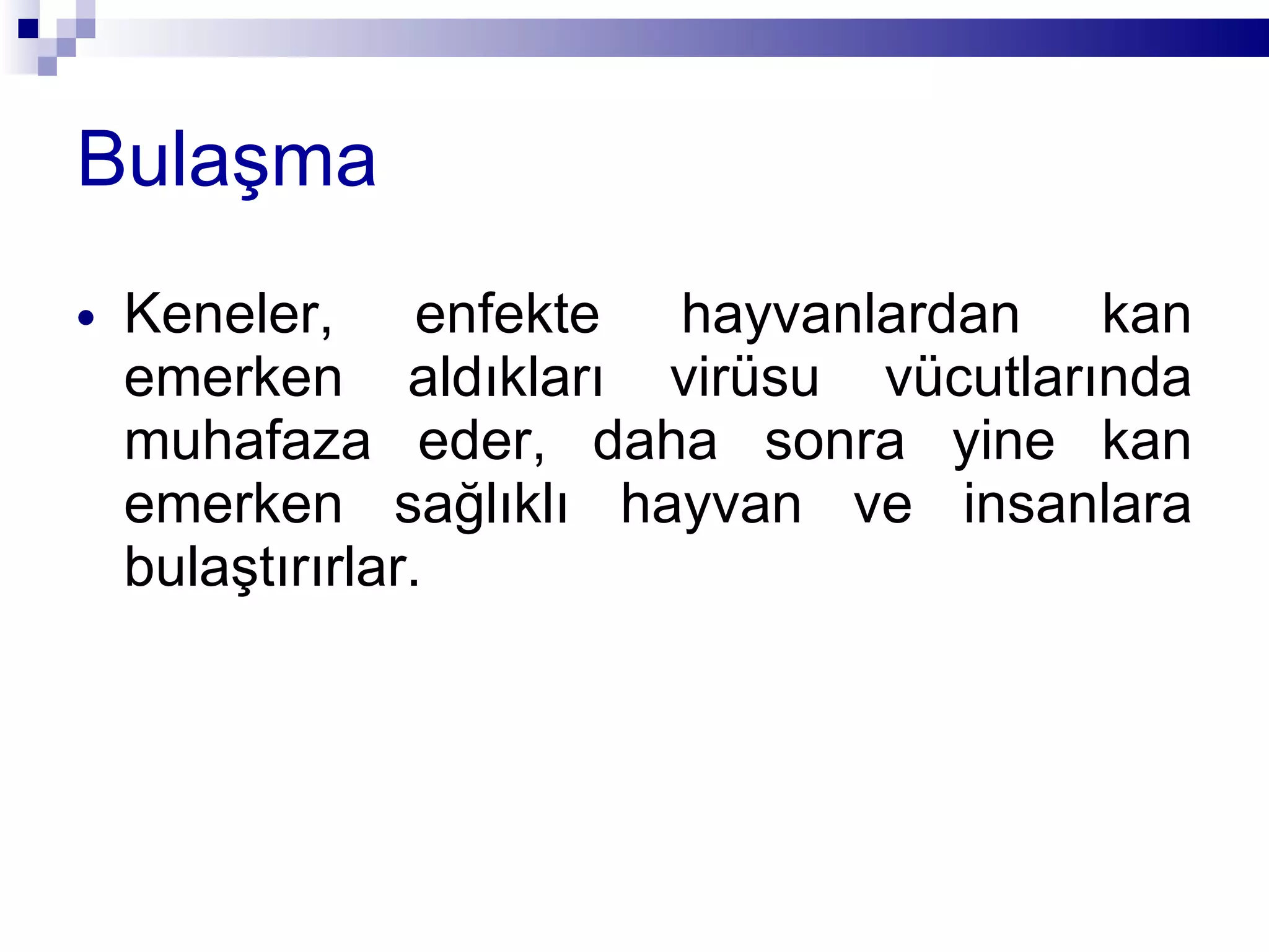 Bulaşma Keneler, enfekte hayvanlardan kan emerken aldıkları virüsu vücutlarında muhafaza eder, daha sonra yine kan emerken sağlıklı hayvan ve insanlara bulaştırırlar.  
