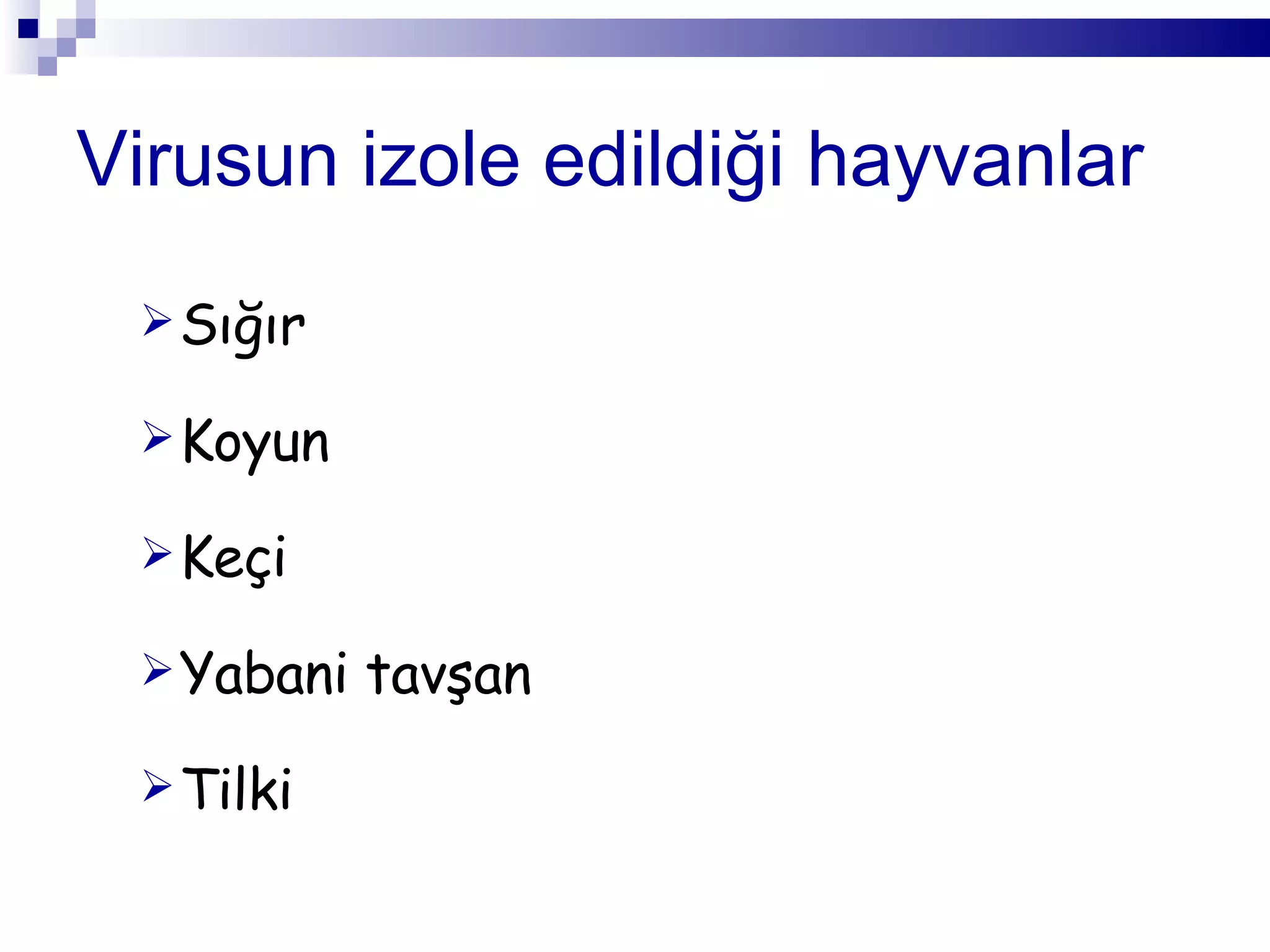 Virusun izole edildiği hayvanlar Sığır Koyun Keçi  Yabani tavşan Tilki 