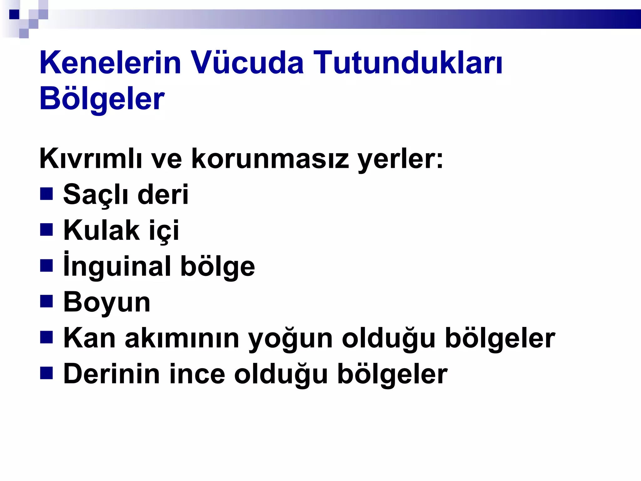 Kenelerin Vücuda Tutundukları Bölgeler Kıvrımlı ve korunmasız yerler: Saçlı deri Kulak içi İnguinal bölge Boyun Kan akımının yoğun olduğu bölgeler Derinin ince olduğu bölgeler 