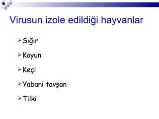Virusun izole edildiği hayvanlar Sığır Koyun Keçi  Yabani tavşan Tilki 