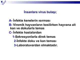 İnsanlara virus bulaşı;   A-  İnfekte kenelerin ısırması B-  Viremik hayvanların kesilirken hayvana ait kan ve dokularla temas C-  İnfekte hastalardan  1- Sekresyonlarla direk temas 2- İnfekte doku ve kan teması  3- Laboratuvardan olmaktadır.  