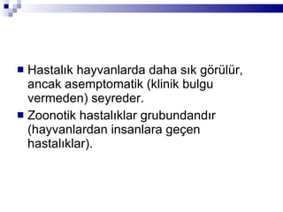 Hastalık hayvanlarda daha sık görülür, ancak asemptomatik (klinik bulgu vermeden) seyreder. Zoonotik hastalıklar grubundandır (hayvanlardan insanlara geçen hastalıklar). 