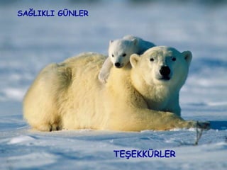 TEŞEKKÜRLER SAĞLIKLI GÜNLER 