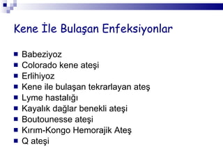 Kene İle Bulaşan Enfeksiyonlar Babeziyoz  Colorado kene ateşi Erlihiyoz  Kene ile bulaşan tekrarlayan ateş  Lyme hastalığı  Kayalık dağlar benekli ateşi  Boutounesse ateşi Kırım-Kongo Hemorajik Ateş  Q ateşi 