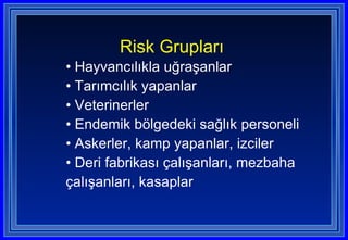 Risk Grupları   Hayvancılıkla uğraşanlar Tarımcılık yapanlar  Veterinerler Endemik bölgedeki sağlık personeli Askerler, kamp yapanlar, izciler Deri fabrikası çalışanları, mezbaha çalışanları, kasaplar 
