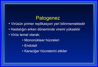 Patogenez   Virüsün primer replikasyon yeri bilinmemektedir Hastalığın erken döneminde viremi yüksektir Virüs temel olarak; Mononükleer hücreleri Endoteli Karaciğer hücrelerini etkiler 