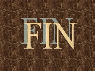 FIN 