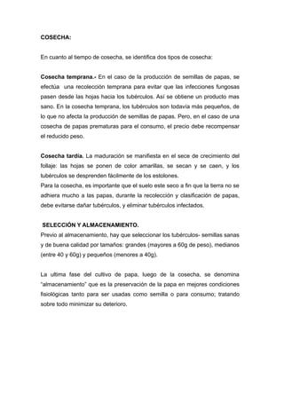 COSECHA:


En cuanto al tiempo de cosecha, se identifica dos tipos de cosecha:


Cosecha temprana.- En el caso de la producción de semillas de papas, se
efectúa una recolección temprana para evitar que las infecciones fungosas
pasen desde las hojas hacia los tubérculos. Así se obtiene un producto mas
sano. En la cosecha temprana, los tubérculos son todavía más pequeños, de
lo que no afecta la producción de semillas de papas. Pero, en el caso de una
cosecha de papas prematuras para el consumo, el precio debe recompensar
el reducido peso.


Cosecha tardía. La maduración se manifiesta en el sece de crecimiento del
follaje: las hojas se ponen de color amarillas, se secan y se caen, y los
tubérculos se desprenden fácilmente de los estolones.
Para la cosecha, es importante que el suelo este seco a fin que la tierra no se
adhiera mucho a las papas, durante la recolección y clasificación de papas,
debe evitarse dañar tubérculos, y eliminar tubérculos infectados.


SELECCIÓN Y ALMACENAMIENTO.
Previo al almacenamiento, hay que seleccionar los tubérculos- semillas sanas
y de buena calidad por tamaños: grandes (mayores a 60g de peso), medianos
(entre 40 y 60g) y pequeños (menores a 40g).


La ultima fase del cultivo de papa, luego de la cosecha, se denomina
“almacenamiento” que es la preservación de la papa en mejores condiciones
fisiológicas tanto para ser usadas como semilla o para consumo; tratando
sobre todo minimizar su deterioro.
 
