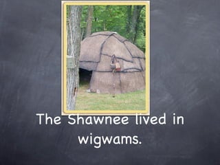 The Shawnee lived in
     wigwams.
 
