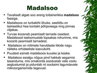 Madalsoo Tavaliselt algab soo areng toitainerikka  madalsoo  faasiga. Madalsoos on turbakiht õhuke, seetõttu on taimestikul hea kontakt põhjaveega ning pinnas viljakas.  Turvas koosneb peamiselt tarnade osadest. Madalsood iseloomustab lopsakas rohurinne, mis koosnb peamiselt tarnadest. Madalsoo on mitmete haruldaste liikide nagu näiteks orhideeliste kasvukoht.  Puudest esineb madalsoos kuuske ja kaske. Madalsoo esialgu nõgus pind hakkab aegamisi tasanduma, mis omakorda soodustab vete voolu aeglustumist ja pidurdab nii sootaimi lagundavate mikroorganismide tegevust.  