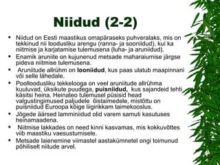 Niidud (2-2) Niidud on Eesti maastikus omapäraseks puhveralaks, mis on tekkinud nii loodusliku arengu (ranna- ja sooniidud), kui ka  niitmise ja karjatamise tulemusena (luha- ja aruniidud).  Enamik aruniite on kujunenud metsade maharaiumise järgse pideva niitmise tulemusena. Aruniitude allrühm on  looniidud , kus paas ulatub maapinnani või selle lähedale.  Poolloodusliku tekkelooga on veel aruniitude allrühma kuuluvad, üksikute puudega,  puisniidud,  kus   sajandeid tehti käsitsi heina. Heinateo tulemusel püsisid head valgustingimused paljudele  õistaimedele, mistõttu on puisniidud Euroopa kõige liigirikkam taimekooslus.  Jõgede äärsed lamminiidud olid varem samuti kasutuses heinamaadena. Niitmise lakkades on need kinni kasvamas, mis kokkuvõttes viib maastiku vaesustumisele.  Metsade laienemine viimastel aastakümnetel ongi toimunud põhiliselt niitude arvel.  