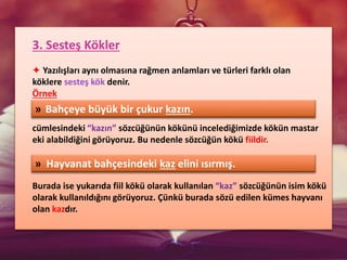 3. Sesteş Kökler
✦ Yazılışları aynı olmasına rağmen anlamları ve türleri farklı olan
köklere sesteş kök denir.
Örnek
cümlesindeki “kazın” sözcüğünün kökünü incelediğimizde kökün mastar
eki alabildiğini görüyoruz. Bu nedenle sözcüğün kökü fiildir.
Burada ise yukarıda fiil kökü olarak kullanılan “kaz” sözcüğünün isim kökü
olarak kullanıldığını görüyoruz. Çünkü burada sözü edilen kümes hayvanı
olan kazdır.
» Bahçeye büyük bir çukur kazın.
» Hayvanat bahçesindeki kaz elini ısırmış.
 