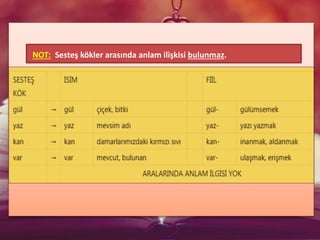 NOT: Sesteş kökler arasında anlam ilişkisi bulunmaz.
 