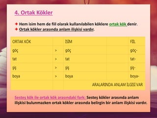 4. Ortak Kökler
✦ Hem isim hem de fiil olarak kullanılabilen köklere ortak kök denir.
✦ Ortak kökler arasında anlam ilişkisi vardır.
Sesteş kök ile ortak kök arasındaki fark: Sesteş kökler arasında anlam
ilişkisi bulunmazken ortak kökler arasında belirgin bir anlam ilişkisi vardır.
 