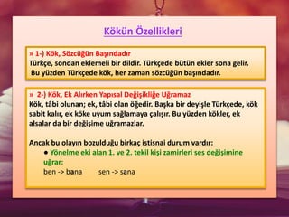 Kökün Özellikleri
» 2-) Kök, Ek Alırken Yapısal Değişikliğe Uğramaz
Kök, tâbi olunan; ek, tâbi olan öğedir. Başka bir deyişle Türkçede, kök
sabit kalır, ek köke uyum sağlamaya çalışır. Bu yüzden kökler, ek
alsalar da bir değişime uğramazlar.
Ancak bu olayın bozulduğu birkaç istisnai durum vardır:
● Yönelme eki alan 1. ve 2. tekil kişi zamirleri ses değişimine
uğrar:
ben -> bana sen -> sana
» 1-) Kök, Sözcüğün Başındadır
Türkçe, sondan eklemeli bir dildir. Türkçede bütün ekler sona gelir.
Bu yüzden Türkçede kök, her zaman sözcüğün başındadır.
 