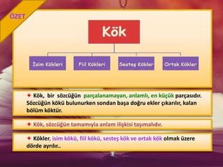 ✦ Kök, bir sözcüğün parçalanamayan, anlamlı, en küçük parçasıdır.
Sözcüğün kökü bulunurken sondan başa doğru ekler çıkarılır, kalan
bölüm köktür.
✦ Kök, sözcüğün tamamıyla anlam ilişkisi taşımalıdır.
ÖZET
✦ Kökler, isim kökü, fiil kökü, sesteş kök ve ortak kök olmak üzere
dörde ayrılır..
 