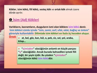 Kökler, isim kökü, fiil kökü, sesteş kök ve ortak kök olmak üzere
dörde ayrılır.
➊ İsim (Ad) Kökleri
Varlıkların, kavramların, duyguların ismi olan köklere isim kökü denir.
İsim kökleri cümle içinde “isim, zamir, zarf, sıfat, edat, bağlaç ve ünlem”
göreviyle kullanılabilir. Dilimizde isim kökleri en fazla üç heceden oluşur.
Örnek » at, bel, göz, kan, kül, o, pek, siz, sol, yol, araba,
kitap…
» “içimizden” sözcüğünün anlamlı en küçük parçası
“iç” sözcüğüdür. Ancak burada bahsedilen içmek fiili
değil, bir şeyin içidir. Bu yüzden “içimizden”
sözcüğünün kökü isim köküdür.
 