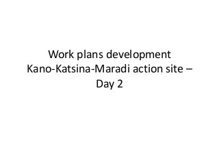 Work plans development
Kano-Katsina-Maradi action site –
Day 2
 