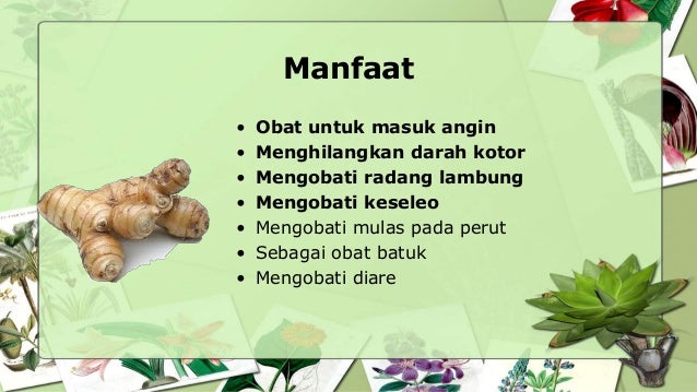  Tanaman Obat Keluarga