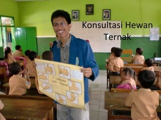 Konsultasi Hewan Ternak 