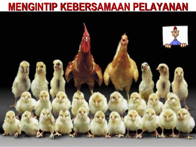 Kotbah Melayani dengan Sepenuh Hati