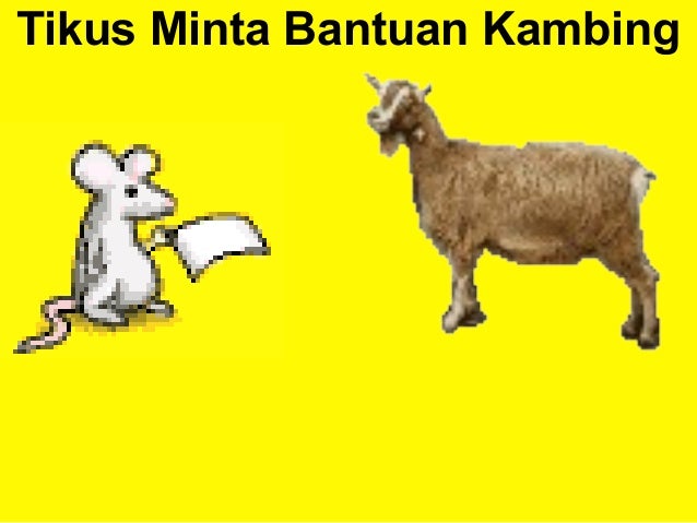 Kotbah Melayani dengan Sepenuh Hati