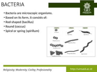 Comprehensive Overview of Kingdom Monera and Protista: Characteristics ...