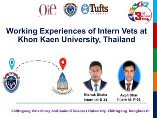 Chittagong Veterinary and Animal Sciences University, Chittagong, Bangladesh
Working Experiences of Intern Vets at
Khon Kaen University, Thailand
Mishuk Shaha
Intern id: D-34
Avijit Dhar
Intern id: F-52
 