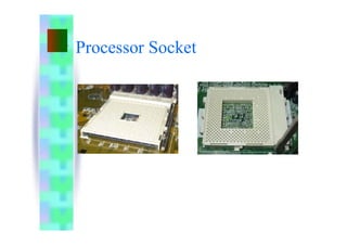 Processor Socket
 