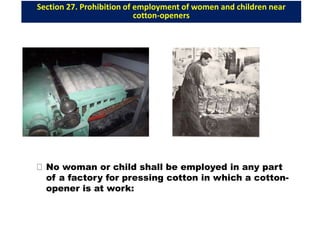 Section 27. Prohibition of employment of women and children near
cotton-openers
No woman or child shall be employed in any part
of a factory for pressing cotton in which a cotton-
opener is at work:
 