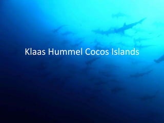 Klaas Hummel Cocos Islands
 
