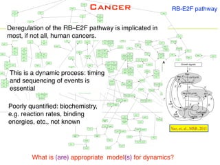 RB-E2F pathwayCancer
Poorly quantiﬁed: biochemistry,
e.g. reaction rates, binding
energies, etc., not known
What is (are) appropriate model(s) for dynamics?
This is a dynamic process: timing
and sequencing of events is
essential
Yao, et. al., MSB, 2011
Deregulation of the RB–E2F pathway is implicated in
most, if not all, human cancers.
 
