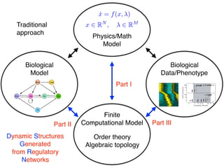 Biological
Model
Biological
Data/Phenotype
˙x = f(x, )
x 2 RN
, 2 RM
Physics/Math
Model
Traditional
approach
Finite
Computational Model
Part I
Part II Part III
Order theory
Algebraic topology
Dynamic Structures
Generated
from Regulatory
Networks
 