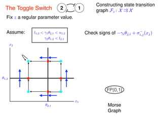 12The Toggle Switch
✓2,1
✓1,2
x1
x2
Assume: l1,2 < 1✓2,1 < u1,2
2✓1,2 < l2,1
Morse
Graph
FP{0,1}
Fix z a regular parameter value.
Constructing state transition
graph Fz : X !! X
Check signs of i✓j,i + i,j(xj)
 