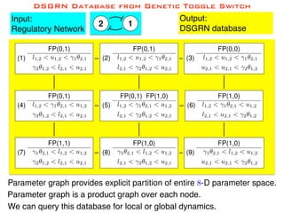 DSGRN Database from Genetic Toggle Switch
12
Input:
Regulatory Network
Output:
DSGRN database
Parameter graph provides explicit partition of entire 8-D parameter space.
We can query this database for local or global dynamics.
Parameter graph is a product graph over each node.
(7)
FP(1,1)
1✓2,1 < l1,2 < u1,2
2✓1,2 < l2,1 < u2,1
(8)
FP(1,0)
1✓2,1 < l1,2 < u1,2
l2,1 < 2✓1,2 < u2,1
(9)
FP(1,0)
1✓2,1 < l1,2 < u1,2
u2,1 < u2,1 < 2✓1,2
(4)
FP(0,1)
l1,2 < 1✓2,1 < u1,2
2✓1,2 < l2,1 < u2,1
(5)
FP(0,1) FP(1,0)
l1,2 < 1✓2,1 < u1,2
l2,1 < 2✓1,2 < u2,1
(6)
FP(1,0)
l1,2 < 1✓2,1 < u1,2
l2,1 < u2,1 < 2✓1,2
(1)
FP(0,1)
l1,2 < u1,2 < 1✓2,1
2✓1,2 < l2,1 < u2,1
(2)
FP(0,1)
l1,2 < u1,2 < 1✓2,1
l2,1 < 2✓1,2 < u2,1
(3)
FP(0,0)
l1,2 < u1,2 < 1✓2,1
u2,1 < u2,1 < 2✓1,2
 