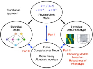 Biological
Model
Biological
Data/Phenotype
˙x = f(x, )
x 2 RN
, 2 RM
Physics/Math
Model
Traditional
approach
Finite
Computational Model
Part I
Part II Part III
Order theory
Algebraic topology
Choosing Models
based on
Robustness of
Phenotype
 