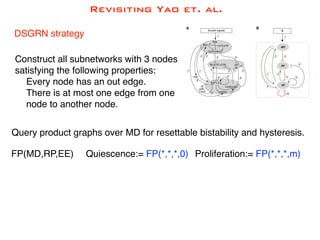 Revisiting Yao et. al.
DSGRN strategy
Construct all subnetworks with 3 nodes
satisfying the following properties:
Every node has an out edge.
There is at most one edge from one
node to another node.
Query product graphs over MD for resettable bistability and hysteresis.
FP(MD,RP,EE) Quiescence:= FP(*,*,*,0) Proliferation:= FP(*,*,*,m)
 