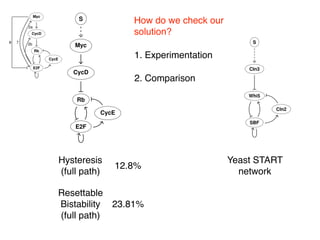 Myc
CycD
Rb
E2F
CycE
2a
2b8 7
How do we check our
solution?
12.8%
23.81%
Hysteresis
(full path)
Resettable
Bistability
(full path)
S
Myc
CycD
Rb
E2F
CycE
<latexit sha1_base64="phLODaoue346UCEO4Xqh76Rf3l0=">AAAdA3icpZlLc9vIEce5XiVZK4+1N4ccosMkkip2FaWQ3GyeK9XyKdEW9QCphyVoVcBwSMLCqzBDUTSMY865Jp8ht1Su+SD5BvkYmQFGZJNNuko2DhQwv3/3zDR6GhjIDl2Hi0Lhv589+XzlBz/80RdPV3/8k5/+7Mtnz78648EwouyUBm4QXdgWZ67js1PhCJddhBGzPNtl5/ZtVfHzOxZxJ/A7Yhyya8/q+07PoZaQTTfPV56YNus7fiyc23ehQ8UwYsmVZzk+8YMu++02F2OX7cTMdZ2Qs3zPcd2d0cAR7FelQr4bWaN8L/DFjsl7Pctz3LHpB5Fnudx5x0y7x1nkMJ7kObWkl+L2769Xn8oj/TFVB9OursmL9ktiCfJiq5gvvCRxO/nLEl2rNhFuFaWyNaZLtVWgLUltdUxrS8XG8VT8tRQb9lJpvT6V/u5lXC81lg9BSwvS6fY3L9UQ6lqcWYSWGFxt7eZ3dyy/7zLyp0JeDBx6C4KljnTerNtnV3wQRIL55Nsd8nUo8uTheje9vk47vromcZLOP3WQBiI13nqff4S9DElm39bmXYsPWPcxLloPQ1DhfRiCzfwuiZz+QDzGlYz6NCbpPUj9AWfkMbHR3j7Z0SRI1fp0huRTnU1G5QZBKL25wehRjmaCNc03Uw5rZrnfPFsvbBfSg+CToj5Zz+nj+Ob5L/5ndgM69JgvqGtxflUsyL5jKxIOdVmyag45Cy16a/VZnNaohGzKpi7pBRFR9YKkrTM6y+OeXAfJfKOS87w84WPPznPhWdE46iIZnWsaZ3bKZcR7fAZeDUXvj9ex44dDGTqaDa43dIkIiCqSpOtEjAp3LE8sGjlyVoQOrMiiQpbSmW5Ce0tq+pHlJaszQAU461SduY4dyXHHcjiRc5+3oigY8XwYcEeVYcfv52WBpHIlWKEsl7OeBsy9Y0L6ipjPRjTwPEveQDMrt13Ws4auSGJZgB/OV2fsr1wZMVnhd0rbBcfPR5Or0jfyUujLQgpteHUd91ngMRGNlcdN0q53toz6QblTr5FWuWoctVdNOCA50+SqeB2bLuuJ9yReLyZmmv3vEyQMelOpGQOtmcyJvTvPCuX0Upr+ZMHDPuX0k6vSxGnqM58NxszH6yXdw/aSjuxuT3YzsIN72ZlH7O7GTW9jXsSHYbh0kjJGlaODGjmodzp1Yy46tpXE8rdHLNSxrYmNCNWE4sFq0kWkr0kfkYEmA0QcTRxE3mryFpFbTW4RcTVxEfE08RDxNfERGWoyROROkztERpqMELnX5B6RsSZjRN5p8i5RK3MGlTUqI6OKJhVEqppUEalpUkOkrkkdkYYmDUSamjQRaWnSQsTQxECkrUkbkY4mnSRbAgfl6uvKUdmofWg1ZOmjqrNtxzKF5iNbBriczPdZAbSCaBXQKqI1QGuI1gGtI9oAtIHoHqB7im7O4H2A95FxE9Amoq8AfYXoIaCHiJ4AeoKoAaiBqJ3dd83biHcA7SB6CugpomeAniF6Dug5oheAXiD6BtA3iF4CeplmnszaavmguWeUj/eb1cUZSycZKZ/UeL3TCsRo0dMqxGjlyy3JhMZo9dM6NEYlgDYgRnWA7kG8h/A+xPsINyFGpYS+gvgVwq8hfo3wAcQHCLcgRsWKHkJ8iPARxEcIH0N8jPAJxCcIGxCjaknbEKOSSTsQdxA+hfgU4TOIzxA+h/gc4QuILxB+A/EbhC8hvswqftvySVtu9HuLVw6frBy+4EHJK4CidcOrgKJlw2uAomXD64CiVcP3AUVpz5uAoqznrwBFSc9fA4pynh8AilKetwBFGc8PAUUJz48BRQnNTwBF+cwNQFE681NAUT7ysymNCa7k/BxYo3zkl4BeovcAbrA+cK+udNLR6Dd8TkujafhotCB+NGokEx6jUikb9wBHtVI2tgFH61o2GnAABp5OS1VjcIcnp3s4btVZcTVZajefvP6d2oyBu6JbUBfl9owuvcSiQ3vQhd6yBpxD8zpjsS41NxY4vNEhnJ9QzwfiBn7DoZBXMQ/hqI5r2TNfJRFpWSEnUkPK6aZS9it3kVIZpnu69aIckJDb6Ii5aqcnd32B359uQlU/Wq+2g4vlisyru8HIV+qK0zfVecrNyLXCeMO8o8wXLNJ70Q0VEicU6XfY9aLckW4AR8Pwwc0w/GgnPlNOfPbRDnjqgH+Cg1HqYPTxU0gd+I93kHlIv0goD+DTweQrwSZpBBH51natwe6fM73l91N19rlWyYkZpRcz8mKeqD+l3czKkTdrvaQ7AbbpxwmiO5x1o3KWjIKoy8nIEYNgKIgnJ5P5S+esLpWT7DW2Ve7sk9W55UNdXS6CMPsbebFsS0w/cB3PEXx+p6K+LswbyDZoMNvBIgP6IYumL7CFIxuBBZk3ucMmqnFpJ86CUTkfGFQ18LGBaoQWsybuKAKPr6Ps0XRQ7nSa1Tp6DRJpqVVlViyosgYLNVZnC4rmg/Hiotp84M0lRbfiBvQ20xB9gT5u2RmQD0mSfgSTLbIoF/LF5PtG1rk2RIOH3o3F3ptQ01yoabYfJrHkedUKIs60JjtPkqebRGpJ0COWK7cJqlU1zL8ctGoPdnjXz8MJDRfjCZWQ4LAJ8YGYLbjbb9Mvbt4QOQvTfBLsXsRhxBbcx+GE8yGliFvpxzcffSxTTxlFJk8b/E77Fr7Ufm/eMRnc1Ztn68X5/wTgk7PSdrGwXTwprX+3q/9L8EXul7lf517kirk/5L7L7eeOc6c5uuKs/G3l7yv/WPvr2j/X/rX270z65DNt8/PczLH2n/8DsWK8tQ==</latexit><latexit sha1_base64="phLODaoue346UCEO4Xqh76Rf3l0=">AAAdA3icpZlLc9vIEce5XiVZK4+1N4ccosMkkip2FaWQ3GyeK9XyKdEW9QCphyVoVcBwSMLCqzBDUTSMY865Jp8ht1Su+SD5BvkYmQFGZJNNuko2DhQwv3/3zDR6GhjIDl2Hi0Lhv589+XzlBz/80RdPV3/8k5/+7Mtnz78648EwouyUBm4QXdgWZ67js1PhCJddhBGzPNtl5/ZtVfHzOxZxJ/A7Yhyya8/q+07PoZaQTTfPV56YNus7fiyc23ehQ8UwYsmVZzk+8YMu++02F2OX7cTMdZ2Qs3zPcd2d0cAR7FelQr4bWaN8L/DFjsl7Pctz3LHpB5Fnudx5x0y7x1nkMJ7kObWkl+L2769Xn8oj/TFVB9OursmL9ktiCfJiq5gvvCRxO/nLEl2rNhFuFaWyNaZLtVWgLUltdUxrS8XG8VT8tRQb9lJpvT6V/u5lXC81lg9BSwvS6fY3L9UQ6lqcWYSWGFxt7eZ3dyy/7zLyp0JeDBx6C4KljnTerNtnV3wQRIL55Nsd8nUo8uTheje9vk47vromcZLOP3WQBiI13nqff4S9DElm39bmXYsPWPcxLloPQ1DhfRiCzfwuiZz+QDzGlYz6NCbpPUj9AWfkMbHR3j7Z0SRI1fp0huRTnU1G5QZBKL25wehRjmaCNc03Uw5rZrnfPFsvbBfSg+CToj5Zz+nj+Ob5L/5ndgM69JgvqGtxflUsyL5jKxIOdVmyag45Cy16a/VZnNaohGzKpi7pBRFR9YKkrTM6y+OeXAfJfKOS87w84WPPznPhWdE46iIZnWsaZ3bKZcR7fAZeDUXvj9ex44dDGTqaDa43dIkIiCqSpOtEjAp3LE8sGjlyVoQOrMiiQpbSmW5Ce0tq+pHlJaszQAU461SduY4dyXHHcjiRc5+3oigY8XwYcEeVYcfv52WBpHIlWKEsl7OeBsy9Y0L6ipjPRjTwPEveQDMrt13Ws4auSGJZgB/OV2fsr1wZMVnhd0rbBcfPR5Or0jfyUujLQgpteHUd91ngMRGNlcdN0q53toz6QblTr5FWuWoctVdNOCA50+SqeB2bLuuJ9yReLyZmmv3vEyQMelOpGQOtmcyJvTvPCuX0Upr+ZMHDPuX0k6vSxGnqM58NxszH6yXdw/aSjuxuT3YzsIN72ZlH7O7GTW9jXsSHYbh0kjJGlaODGjmodzp1Yy46tpXE8rdHLNSxrYmNCNWE4sFq0kWkr0kfkYEmA0QcTRxE3mryFpFbTW4RcTVxEfE08RDxNfERGWoyROROkztERpqMELnX5B6RsSZjRN5p8i5RK3MGlTUqI6OKJhVEqppUEalpUkOkrkkdkYYmDUSamjQRaWnSQsTQxECkrUkbkY4mnSRbAgfl6uvKUdmofWg1ZOmjqrNtxzKF5iNbBriczPdZAbSCaBXQKqI1QGuI1gGtI9oAtIHoHqB7im7O4H2A95FxE9Amoq8AfYXoIaCHiJ4AeoKoAaiBqJ3dd83biHcA7SB6CugpomeAniF6Dug5oheAXiD6BtA3iF4CeplmnszaavmguWeUj/eb1cUZSycZKZ/UeL3TCsRo0dMqxGjlyy3JhMZo9dM6NEYlgDYgRnWA7kG8h/A+xPsINyFGpYS+gvgVwq8hfo3wAcQHCLcgRsWKHkJ8iPARxEcIH0N8jPAJxCcIGxCjaknbEKOSSTsQdxA+hfgU4TOIzxA+h/gc4QuILxB+A/EbhC8hvswqftvySVtu9HuLVw6frBy+4EHJK4CidcOrgKJlw2uAomXD64CiVcP3AUVpz5uAoqznrwBFSc9fA4pynh8AilKetwBFGc8PAUUJz48BRQnNTwBF+cwNQFE681NAUT7ysymNCa7k/BxYo3zkl4BeovcAbrA+cK+udNLR6Dd8TkujafhotCB+NGokEx6jUikb9wBHtVI2tgFH61o2GnAABp5OS1VjcIcnp3s4btVZcTVZajefvP6d2oyBu6JbUBfl9owuvcSiQ3vQhd6yBpxD8zpjsS41NxY4vNEhnJ9QzwfiBn7DoZBXMQ/hqI5r2TNfJRFpWSEnUkPK6aZS9it3kVIZpnu69aIckJDb6Ii5aqcnd32B359uQlU/Wq+2g4vlisyru8HIV+qK0zfVecrNyLXCeMO8o8wXLNJ70Q0VEicU6XfY9aLckW4AR8Pwwc0w/GgnPlNOfPbRDnjqgH+Cg1HqYPTxU0gd+I93kHlIv0goD+DTweQrwSZpBBH51natwe6fM73l91N19rlWyYkZpRcz8mKeqD+l3czKkTdrvaQ7AbbpxwmiO5x1o3KWjIKoy8nIEYNgKIgnJ5P5S+esLpWT7DW2Ve7sk9W55UNdXS6CMPsbebFsS0w/cB3PEXx+p6K+LswbyDZoMNvBIgP6IYumL7CFIxuBBZk3ucMmqnFpJ86CUTkfGFQ18LGBaoQWsybuKAKPr6Ps0XRQ7nSa1Tp6DRJpqVVlViyosgYLNVZnC4rmg/Hiotp84M0lRbfiBvQ20xB9gT5u2RmQD0mSfgSTLbIoF/LF5PtG1rk2RIOH3o3F3ptQ01yoabYfJrHkedUKIs60JjtPkqebRGpJ0COWK7cJqlU1zL8ctGoPdnjXz8MJDRfjCZWQ4LAJ8YGYLbjbb9Mvbt4QOQvTfBLsXsRhxBbcx+GE8yGliFvpxzcffSxTTxlFJk8b/E77Fr7Ufm/eMRnc1Ztn68X5/wTgk7PSdrGwXTwprX+3q/9L8EXul7lf517kirk/5L7L7eeOc6c5uuKs/G3l7yv/WPvr2j/X/rX270z65DNt8/PczLH2n/8DsWK8tQ==</latexit><latexit sha1_base64="phLODaoue346UCEO4Xqh76Rf3l0=">AAAdA3icpZlLc9vIEce5XiVZK4+1N4ccosMkkip2FaWQ3GyeK9XyKdEW9QCphyVoVcBwSMLCqzBDUTSMY865Jp8ht1Su+SD5BvkYmQFGZJNNuko2DhQwv3/3zDR6GhjIDl2Hi0Lhv589+XzlBz/80RdPV3/8k5/+7Mtnz78648EwouyUBm4QXdgWZ67js1PhCJddhBGzPNtl5/ZtVfHzOxZxJ/A7Yhyya8/q+07PoZaQTTfPV56YNus7fiyc23ehQ8UwYsmVZzk+8YMu++02F2OX7cTMdZ2Qs3zPcd2d0cAR7FelQr4bWaN8L/DFjsl7Pctz3LHpB5Fnudx5x0y7x1nkMJ7kObWkl+L2769Xn8oj/TFVB9OursmL9ktiCfJiq5gvvCRxO/nLEl2rNhFuFaWyNaZLtVWgLUltdUxrS8XG8VT8tRQb9lJpvT6V/u5lXC81lg9BSwvS6fY3L9UQ6lqcWYSWGFxt7eZ3dyy/7zLyp0JeDBx6C4KljnTerNtnV3wQRIL55Nsd8nUo8uTheje9vk47vromcZLOP3WQBiI13nqff4S9DElm39bmXYsPWPcxLloPQ1DhfRiCzfwuiZz+QDzGlYz6NCbpPUj9AWfkMbHR3j7Z0SRI1fp0huRTnU1G5QZBKL25wehRjmaCNc03Uw5rZrnfPFsvbBfSg+CToj5Zz+nj+Ob5L/5ndgM69JgvqGtxflUsyL5jKxIOdVmyag45Cy16a/VZnNaohGzKpi7pBRFR9YKkrTM6y+OeXAfJfKOS87w84WPPznPhWdE46iIZnWsaZ3bKZcR7fAZeDUXvj9ex44dDGTqaDa43dIkIiCqSpOtEjAp3LE8sGjlyVoQOrMiiQpbSmW5Ce0tq+pHlJaszQAU461SduY4dyXHHcjiRc5+3oigY8XwYcEeVYcfv52WBpHIlWKEsl7OeBsy9Y0L6ipjPRjTwPEveQDMrt13Ws4auSGJZgB/OV2fsr1wZMVnhd0rbBcfPR5Or0jfyUujLQgpteHUd91ngMRGNlcdN0q53toz6QblTr5FWuWoctVdNOCA50+SqeB2bLuuJ9yReLyZmmv3vEyQMelOpGQOtmcyJvTvPCuX0Upr+ZMHDPuX0k6vSxGnqM58NxszH6yXdw/aSjuxuT3YzsIN72ZlH7O7GTW9jXsSHYbh0kjJGlaODGjmodzp1Yy46tpXE8rdHLNSxrYmNCNWE4sFq0kWkr0kfkYEmA0QcTRxE3mryFpFbTW4RcTVxEfE08RDxNfERGWoyROROkztERpqMELnX5B6RsSZjRN5p8i5RK3MGlTUqI6OKJhVEqppUEalpUkOkrkkdkYYmDUSamjQRaWnSQsTQxECkrUkbkY4mnSRbAgfl6uvKUdmofWg1ZOmjqrNtxzKF5iNbBriczPdZAbSCaBXQKqI1QGuI1gGtI9oAtIHoHqB7im7O4H2A95FxE9Amoq8AfYXoIaCHiJ4AeoKoAaiBqJ3dd83biHcA7SB6CugpomeAniF6Dug5oheAXiD6BtA3iF4CeplmnszaavmguWeUj/eb1cUZSycZKZ/UeL3TCsRo0dMqxGjlyy3JhMZo9dM6NEYlgDYgRnWA7kG8h/A+xPsINyFGpYS+gvgVwq8hfo3wAcQHCLcgRsWKHkJ8iPARxEcIH0N8jPAJxCcIGxCjaknbEKOSSTsQdxA+hfgU4TOIzxA+h/gc4QuILxB+A/EbhC8hvswqftvySVtu9HuLVw6frBy+4EHJK4CidcOrgKJlw2uAomXD64CiVcP3AUVpz5uAoqznrwBFSc9fA4pynh8AilKetwBFGc8PAUUJz48BRQnNTwBF+cwNQFE681NAUT7ysymNCa7k/BxYo3zkl4BeovcAbrA+cK+udNLR6Dd8TkujafhotCB+NGokEx6jUikb9wBHtVI2tgFH61o2GnAABp5OS1VjcIcnp3s4btVZcTVZajefvP6d2oyBu6JbUBfl9owuvcSiQ3vQhd6yBpxD8zpjsS41NxY4vNEhnJ9QzwfiBn7DoZBXMQ/hqI5r2TNfJRFpWSEnUkPK6aZS9it3kVIZpnu69aIckJDb6Ii5aqcnd32B359uQlU/Wq+2g4vlisyru8HIV+qK0zfVecrNyLXCeMO8o8wXLNJ70Q0VEicU6XfY9aLckW4AR8Pwwc0w/GgnPlNOfPbRDnjqgH+Cg1HqYPTxU0gd+I93kHlIv0goD+DTweQrwSZpBBH51natwe6fM73l91N19rlWyYkZpRcz8mKeqD+l3czKkTdrvaQ7AbbpxwmiO5x1o3KWjIKoy8nIEYNgKIgnJ5P5S+esLpWT7DW2Ve7sk9W55UNdXS6CMPsbebFsS0w/cB3PEXx+p6K+LswbyDZoMNvBIgP6IYumL7CFIxuBBZk3ucMmqnFpJ86CUTkfGFQ18LGBaoQWsybuKAKPr6Ps0XRQ7nSa1Tp6DRJpqVVlViyosgYLNVZnC4rmg/Hiotp84M0lRbfiBvQ20xB9gT5u2RmQD0mSfgSTLbIoF/LF5PtG1rk2RIOH3o3F3ptQ01yoabYfJrHkedUKIs60JjtPkqebRGpJ0COWK7cJqlU1zL8ctGoPdnjXz8MJDRfjCZWQ4LAJ8YGYLbjbb9Mvbt4QOQvTfBLsXsRhxBbcx+GE8yGliFvpxzcffSxTTxlFJk8b/E77Fr7Ufm/eMRnc1Ztn68X5/wTgk7PSdrGwXTwprX+3q/9L8EXul7lf517kirk/5L7L7eeOc6c5uuKs/G3l7yv/WPvr2j/X/rX270z65DNt8/PczLH2n/8DsWK8tQ==</latexit><latexit sha1_base64="phLODaoue346UCEO4Xqh76Rf3l0=">AAAdA3icpZlLc9vIEce5XiVZK4+1N4ccosMkkip2FaWQ3GyeK9XyKdEW9QCphyVoVcBwSMLCqzBDUTSMY865Jp8ht1Su+SD5BvkYmQFGZJNNuko2DhQwv3/3zDR6GhjIDl2Hi0Lhv589+XzlBz/80RdPV3/8k5/+7Mtnz78648EwouyUBm4QXdgWZ67js1PhCJddhBGzPNtl5/ZtVfHzOxZxJ/A7Yhyya8/q+07PoZaQTTfPV56YNus7fiyc23ehQ8UwYsmVZzk+8YMu++02F2OX7cTMdZ2Qs3zPcd2d0cAR7FelQr4bWaN8L/DFjsl7Pctz3LHpB5Fnudx5x0y7x1nkMJ7kObWkl+L2769Xn8oj/TFVB9OursmL9ktiCfJiq5gvvCRxO/nLEl2rNhFuFaWyNaZLtVWgLUltdUxrS8XG8VT8tRQb9lJpvT6V/u5lXC81lg9BSwvS6fY3L9UQ6lqcWYSWGFxt7eZ3dyy/7zLyp0JeDBx6C4KljnTerNtnV3wQRIL55Nsd8nUo8uTheje9vk47vromcZLOP3WQBiI13nqff4S9DElm39bmXYsPWPcxLloPQ1DhfRiCzfwuiZz+QDzGlYz6NCbpPUj9AWfkMbHR3j7Z0SRI1fp0huRTnU1G5QZBKL25wehRjmaCNc03Uw5rZrnfPFsvbBfSg+CToj5Zz+nj+Ob5L/5ndgM69JgvqGtxflUsyL5jKxIOdVmyag45Cy16a/VZnNaohGzKpi7pBRFR9YKkrTM6y+OeXAfJfKOS87w84WPPznPhWdE46iIZnWsaZ3bKZcR7fAZeDUXvj9ex44dDGTqaDa43dIkIiCqSpOtEjAp3LE8sGjlyVoQOrMiiQpbSmW5Ce0tq+pHlJaszQAU461SduY4dyXHHcjiRc5+3oigY8XwYcEeVYcfv52WBpHIlWKEsl7OeBsy9Y0L6ipjPRjTwPEveQDMrt13Ws4auSGJZgB/OV2fsr1wZMVnhd0rbBcfPR5Or0jfyUujLQgpteHUd91ngMRGNlcdN0q53toz6QblTr5FWuWoctVdNOCA50+SqeB2bLuuJ9yReLyZmmv3vEyQMelOpGQOtmcyJvTvPCuX0Upr+ZMHDPuX0k6vSxGnqM58NxszH6yXdw/aSjuxuT3YzsIN72ZlH7O7GTW9jXsSHYbh0kjJGlaODGjmodzp1Yy46tpXE8rdHLNSxrYmNCNWE4sFq0kWkr0kfkYEmA0QcTRxE3mryFpFbTW4RcTVxEfE08RDxNfERGWoyROROkztERpqMELnX5B6RsSZjRN5p8i5RK3MGlTUqI6OKJhVEqppUEalpUkOkrkkdkYYmDUSamjQRaWnSQsTQxECkrUkbkY4mnSRbAgfl6uvKUdmofWg1ZOmjqrNtxzKF5iNbBriczPdZAbSCaBXQKqI1QGuI1gGtI9oAtIHoHqB7im7O4H2A95FxE9Amoq8AfYXoIaCHiJ4AeoKoAaiBqJ3dd83biHcA7SB6CugpomeAniF6Dug5oheAXiD6BtA3iF4CeplmnszaavmguWeUj/eb1cUZSycZKZ/UeL3TCsRo0dMqxGjlyy3JhMZo9dM6NEYlgDYgRnWA7kG8h/A+xPsINyFGpYS+gvgVwq8hfo3wAcQHCLcgRsWKHkJ8iPARxEcIH0N8jPAJxCcIGxCjaknbEKOSSTsQdxA+hfgU4TOIzxA+h/gc4QuILxB+A/EbhC8hvswqftvySVtu9HuLVw6frBy+4EHJK4CidcOrgKJlw2uAomXD64CiVcP3AUVpz5uAoqznrwBFSc9fA4pynh8AilKetwBFGc8PAUUJz48BRQnNTwBF+cwNQFE681NAUT7ysymNCa7k/BxYo3zkl4BeovcAbrA+cK+udNLR6Dd8TkujafhotCB+NGokEx6jUikb9wBHtVI2tgFH61o2GnAABp5OS1VjcIcnp3s4btVZcTVZajefvP6d2oyBu6JbUBfl9owuvcSiQ3vQhd6yBpxD8zpjsS41NxY4vNEhnJ9QzwfiBn7DoZBXMQ/hqI5r2TNfJRFpWSEnUkPK6aZS9it3kVIZpnu69aIckJDb6Ii5aqcnd32B359uQlU/Wq+2g4vlisyru8HIV+qK0zfVecrNyLXCeMO8o8wXLNJ70Q0VEicU6XfY9aLckW4AR8Pwwc0w/GgnPlNOfPbRDnjqgH+Cg1HqYPTxU0gd+I93kHlIv0goD+DTweQrwSZpBBH51natwe6fM73l91N19rlWyYkZpRcz8mKeqD+l3czKkTdrvaQ7AbbpxwmiO5x1o3KWjIKoy8nIEYNgKIgnJ5P5S+esLpWT7DW2Ve7sk9W55UNdXS6CMPsbebFsS0w/cB3PEXx+p6K+LswbyDZoMNvBIgP6IYumL7CFIxuBBZk3ucMmqnFpJ86CUTkfGFQ18LGBaoQWsybuKAKPr6Ps0XRQ7nSa1Tp6DRJpqVVlViyosgYLNVZnC4rmg/Hiotp84M0lRbfiBvQ20xB9gT5u2RmQD0mSfgSTLbIoF/LF5PtG1rk2RIOH3o3F3ptQ01yoabYfJrHkedUKIs60JjtPkqebRGpJ0COWK7cJqlU1zL8ctGoPdnjXz8MJDRfjCZWQ4LAJ8YGYLbjbb9Mvbt4QOQvTfBLsXsRhxBbcx+GE8yGliFvpxzcffSxTTxlFJk8b/E77Fr7Ufm/eMRnc1Ztn68X5/wTgk7PSdrGwXTwprX+3q/9L8EXul7lf517kirk/5L7L7eeOc6c5uuKs/G3l7yv/WPvr2j/X/rX270z65DNt8/PczLH2n/8DsWK8tQ==</latexit>
1. Experimentation
2. Comparison
S
Cln3
Whi5
SBF
Cln2
<latexit sha1_base64="Qh/qENagCLcx9/QZFxaxEDQMHIY=">AAAcnnicpZlZcxu5EYC5u0qyVi579yEP0QMSSRU7RSkkva5cK9XylCiLOkjqsDRa1QwIkmPNVQAoSh7PT8kPyz/IzwgwA1JNNuUq2fNAAfi6G0BPozGAnMhzhSwU/vvV198s/eKXv/r22fKvf/Pb3/3++YvvTkU44pSd0NAL+bljC+a5ATuRrvTYecSZ7TseO3Nuqpqf3TIu3DDoyvuIXfn2IHD7LrWlarp+8c1/LIcN3CCW7s2HyKVyxFly6dtuQIKwx/62KeS9x7Zi5nluJFi+73re1njoSvanUiHf4/Y43w8DuWWJft/2Xe/eCkLu255wPzDL6QvGXSaSvKC2slK6Wn6mnvTH0uYfOroiL1u1V8SW5OVGMb9RfEXiTvLvRySrQLKkJKte8PpR4fbRg/BrJXw2dN88KlyvPwj/8CruVBqPD8KIFpTZzTev9CBKRng5U4lsObzc2M5vb9nBwGPkn4W8HLr0BnhBP+nEWW/ALnu2GLJenohhyCULyI9b5HUkH+rbaf0qHcHlFYmT1BWpodQnqZGNj/kn6CvvPIwm9dXEiMOCHuHuYCifYk85ENjT7kztAWNPmp2x9sWGJtNM39pkhuRLjU1H5YVhpKx54fhJhibO0k8aOZYa0MxKvH6+WtgspA/BhaIprObMc3T94g//s3ohHfkskNSzhbgsFlSvsc2lSz2WLFsjwSKb3tgDFqfpIyHrqqlH+iEneimTtHVGzvaFr2I5mW/U4iKvCuLed/JC+ja/5z0kRuea7jM9bZKLvpiBlyPZ/8dV7AbRSDmNZoPrjzwiQ6LzF+m5nFHp3auCTbmrZkXo0OY2lSrLzXQTORtKZsBtP1meAdrBWae65LkOV+OO1XC4e5e3OQ/HIh+FwtUZ0g0GeZW7qFoDdqQy2aylIfNumVS2OAvYmIa+b6sXaGWZsMf69siTSaxy46S8PKN/6SmPqeS7VdosuEGeT2ulN6oqTbWQQgfWruIBC30m+b22uE469e5Gu75f7tZrpFWutg87yxYckJppclm8ii2P9eVHEq8WEyuN+48JEgz7D6JWDGStZE7Yv/XtSE0vpelP5jxsU00/uSxNjaY289lgrHy8WjI9bD7SkdPrq26GTninOvOJ01u77q/NC4lRFD06SeWjyuF+jezXu916e847jp3E6rdPbNSxY4iDCDWE4sEa0kNkYMgAkaEhQ0RcQ1xE3hvyHpEbQ24Q8QzxEPEN8REJDAkQGRkyQuTWkFtExoaMEbkz5A6Re0PuEflgyIdEr8wZVDaojJQqhlQQqRpSRaRmSA2RuiF1RBqGNBBpGtJEpGVIC5G2IW1EOoZ0EOka0k2yJbBfrr6tHJbbtU+thix8dHZ2nFiF0LxnywCXk/k+K4BWEK0CWkW0BmgN0TqgdUQbgDYQ3QF0R9P1GbwL8C5SbgLaRHQP0D1EDwA9QPQY0GNE24C2EXWy9254B/EuoF1ETwA9QfQU0FNEzwA9Q/Qc0HNE3wH6DtELQC/SyFNRWy3vN3fa5aPdZnVxxNJpRKqdGq93WoEYLXpahRitfKqCckJjtPppHSqjFEAbEKM8QHcg3kF4F+JdhJsQo1RC9yDeQ/gtxG8R3od4H+EWxChZ0QOIDxA+hPgQ4SOIjxA+hvgY4TbEKFvSDsQoZdIuxF2ETyA+QfgU4lOEzyA+Q/gc4nOE30H8DuELiC+yjN+xA9JRZ/D+4pUjpitHLNgoRQVQtG5EFVC0bEQNULRsRB1QtGrELqAo7EUTUBT1Yg9QFPTiLaAo5sU+oCjkRQtQFPHiAFAU8OIIUBTQ4hhQFM+iDSgKZ3ECKIpHcfpAY4IzuTgD2igexQWgF+g7QLTZAJjXNRN0lP9FzMlS/uA+yhf4j/JGMuUxSpWqcQdwlCtVYwdwtK5VYxsOoI2n09LZGLzhaXEH+606K1xNHtWbD97gVh/GwFsxLaiLcmdGLq1ioQNn2IPWsgYcQ/Ny7cVyqXp7gcFr48L5CfUDINzAXzgU8irmERzVUS3b83UQkZYdCaJkSDk9VKp+1SlSSUbpmW61qAYk1TGaM0+f9NSpLwwGD4dQ3Y+R18fBxeKazEv3wnGgpSvuwNLllFvcs6N4zbqlLJCMm7PomnaJG8n0inS1qE6ka8DQKJqYGUWfbSRg2kjAPtuASA2ILzAwTg2MP38KqYHg6QYyC+mNhLYArg6mtwTrpBFy8qPj2cPtf2XydjBIpbMrVy1OLJ5WZsSLeaL/lLYzLVe9rNWS6QToppcTxHQ4a0bHLBmHvCfI2JXDcCSJryaT2UvnrKvaSPYZ2yp3d8ny3PKhnkkXYZT95X6s2hIrCD3Xd6WYP6no24V5BdUGFWY7WKRAP6XRDCTWcFUj0CDzKrdYRTc+2om7YFTuJwZVDQOsoBuhxqyKN+Zg+zrMtqb9crfbrNbRZ5BMU61Os3JBlm2zyGBdWpA0J8qLk2pzwpuPJN2KF9KbTIaYCrrccjKgNkmSXoKpFpWUC/li8nMj69woosFD6+3F1ptQprlQptmZTOKR/aoVcsGMTFZOkmfrRMmSsE9sTx0TdKtumP84aNUmevjUL6IpjRbjKVWQYLdJ+QmfLXjb79MbN3+EjEVpPEl2J+OIswXvcTTlYkQp4nZ6+RagyzK9y2gy3W3wN+17+FH7s3XLlHOXr5+vFuf/E4ALp6XNYmGzeFxa/Wnb/Jfg29wfc3/OvcwVc3/P/ZTbzR3lTnJ0aWnpr0uvl35YISuNldbKYSb69VdG5/vczLNy/n9Dapyg</latexit><latexit sha1_base64="Qh/qENagCLcx9/QZFxaxEDQMHIY=">AAAcnnicpZlZcxu5EYC5u0qyVi579yEP0QMSSRU7RSkkva5cK9XylCiLOkjqsDRa1QwIkmPNVQAoSh7PT8kPyz/IzwgwA1JNNuUq2fNAAfi6G0BPozGAnMhzhSwU/vvV198s/eKXv/r22fKvf/Pb3/3++YvvTkU44pSd0NAL+bljC+a5ATuRrvTYecSZ7TseO3Nuqpqf3TIu3DDoyvuIXfn2IHD7LrWlarp+8c1/LIcN3CCW7s2HyKVyxFly6dtuQIKwx/62KeS9x7Zi5nluJFi+73re1njoSvanUiHf4/Y43w8DuWWJft/2Xe/eCkLu255wPzDL6QvGXSaSvKC2slK6Wn6mnvTH0uYfOroiL1u1V8SW5OVGMb9RfEXiTvLvRySrQLKkJKte8PpR4fbRg/BrJXw2dN88KlyvPwj/8CruVBqPD8KIFpTZzTev9CBKRng5U4lsObzc2M5vb9nBwGPkn4W8HLr0BnhBP+nEWW/ALnu2GLJenohhyCULyI9b5HUkH+rbaf0qHcHlFYmT1BWpodQnqZGNj/kn6CvvPIwm9dXEiMOCHuHuYCifYk85ENjT7kztAWNPmp2x9sWGJtNM39pkhuRLjU1H5YVhpKx54fhJhibO0k8aOZYa0MxKvH6+WtgspA/BhaIprObMc3T94g//s3ohHfkskNSzhbgsFlSvsc2lSz2WLFsjwSKb3tgDFqfpIyHrqqlH+iEneimTtHVGzvaFr2I5mW/U4iKvCuLed/JC+ja/5z0kRuea7jM9bZKLvpiBlyPZ/8dV7AbRSDmNZoPrjzwiQ6LzF+m5nFHp3auCTbmrZkXo0OY2lSrLzXQTORtKZsBtP1meAdrBWae65LkOV+OO1XC4e5e3OQ/HIh+FwtUZ0g0GeZW7qFoDdqQy2aylIfNumVS2OAvYmIa+b6sXaGWZsMf69siTSaxy46S8PKN/6SmPqeS7VdosuEGeT2ulN6oqTbWQQgfWruIBC30m+b22uE469e5Gu75f7tZrpFWutg87yxYckJppclm8ii2P9eVHEq8WEyuN+48JEgz7D6JWDGStZE7Yv/XtSE0vpelP5jxsU00/uSxNjaY289lgrHy8WjI9bD7SkdPrq26GTninOvOJ01u77q/NC4lRFD06SeWjyuF+jezXu916e847jp3E6rdPbNSxY4iDCDWE4sEa0kNkYMgAkaEhQ0RcQ1xE3hvyHpEbQ24Q8QzxEPEN8REJDAkQGRkyQuTWkFtExoaMEbkz5A6Re0PuEflgyIdEr8wZVDaojJQqhlQQqRpSRaRmSA2RuiF1RBqGNBBpGtJEpGVIC5G2IW1EOoZ0EOka0k2yJbBfrr6tHJbbtU+thix8dHZ2nFiF0LxnywCXk/k+K4BWEK0CWkW0BmgN0TqgdUQbgDYQ3QF0R9P1GbwL8C5SbgLaRHQP0D1EDwA9QPQY0GNE24C2EXWy9254B/EuoF1ETwA9QfQU0FNEzwA9Q/Qc0HNE3wH6DtELQC/SyFNRWy3vN3fa5aPdZnVxxNJpRKqdGq93WoEYLXpahRitfKqCckJjtPppHSqjFEAbEKM8QHcg3kF4F+JdhJsQo1RC9yDeQ/gtxG8R3od4H+EWxChZ0QOIDxA+hPgQ4SOIjxA+hvgY4TbEKFvSDsQoZdIuxF2ETyA+QfgU4lOEzyA+Q/gc4nOE30H8DuELiC+yjN+xA9JRZ/D+4pUjpitHLNgoRQVQtG5EFVC0bEQNULRsRB1QtGrELqAo7EUTUBT1Yg9QFPTiLaAo5sU+oCjkRQtQFPHiAFAU8OIIUBTQ4hhQFM+iDSgKZ3ECKIpHcfpAY4IzuTgD2igexQWgF+g7QLTZAJjXNRN0lP9FzMlS/uA+yhf4j/JGMuUxSpWqcQdwlCtVYwdwtK5VYxsOoI2n09LZGLzhaXEH+606K1xNHtWbD97gVh/GwFsxLaiLcmdGLq1ioQNn2IPWsgYcQ/Ny7cVyqXp7gcFr48L5CfUDINzAXzgU8irmERzVUS3b83UQkZYdCaJkSDk9VKp+1SlSSUbpmW61qAYk1TGaM0+f9NSpLwwGD4dQ3Y+R18fBxeKazEv3wnGgpSvuwNLllFvcs6N4zbqlLJCMm7PomnaJG8n0inS1qE6ka8DQKJqYGUWfbSRg2kjAPtuASA2ILzAwTg2MP38KqYHg6QYyC+mNhLYArg6mtwTrpBFy8qPj2cPtf2XydjBIpbMrVy1OLJ5WZsSLeaL/lLYzLVe9rNWS6QToppcTxHQ4a0bHLBmHvCfI2JXDcCSJryaT2UvnrKvaSPYZ2yp3d8ny3PKhnkkXYZT95X6s2hIrCD3Xd6WYP6no24V5BdUGFWY7WKRAP6XRDCTWcFUj0CDzKrdYRTc+2om7YFTuJwZVDQOsoBuhxqyKN+Zg+zrMtqb9crfbrNbRZ5BMU61Os3JBlm2zyGBdWpA0J8qLk2pzwpuPJN2KF9KbTIaYCrrccjKgNkmSXoKpFpWUC/li8nMj69woosFD6+3F1ptQprlQptmZTOKR/aoVcsGMTFZOkmfrRMmSsE9sTx0TdKtumP84aNUmevjUL6IpjRbjKVWQYLdJ+QmfLXjb79MbN3+EjEVpPEl2J+OIswXvcTTlYkQp4nZ6+RagyzK9y2gy3W3wN+17+FH7s3XLlHOXr5+vFuf/E4ALp6XNYmGzeFxa/Wnb/Jfg29wfc3/OvcwVc3/P/ZTbzR3lTnJ0aWnpr0uvl35YISuNldbKYSb69VdG5/vczLNy/n9Dapyg</latexit><latexit sha1_base64="Qh/qENagCLcx9/QZFxaxEDQMHIY=">AAAcnnicpZlZcxu5EYC5u0qyVi579yEP0QMSSRU7RSkkva5cK9XylCiLOkjqsDRa1QwIkmPNVQAoSh7PT8kPyz/IzwgwA1JNNuUq2fNAAfi6G0BPozGAnMhzhSwU/vvV198s/eKXv/r22fKvf/Pb3/3++YvvTkU44pSd0NAL+bljC+a5ATuRrvTYecSZ7TseO3Nuqpqf3TIu3DDoyvuIXfn2IHD7LrWlarp+8c1/LIcN3CCW7s2HyKVyxFly6dtuQIKwx/62KeS9x7Zi5nluJFi+73re1njoSvanUiHf4/Y43w8DuWWJft/2Xe/eCkLu255wPzDL6QvGXSaSvKC2slK6Wn6mnvTH0uYfOroiL1u1V8SW5OVGMb9RfEXiTvLvRySrQLKkJKte8PpR4fbRg/BrJXw2dN88KlyvPwj/8CruVBqPD8KIFpTZzTev9CBKRng5U4lsObzc2M5vb9nBwGPkn4W8HLr0BnhBP+nEWW/ALnu2GLJenohhyCULyI9b5HUkH+rbaf0qHcHlFYmT1BWpodQnqZGNj/kn6CvvPIwm9dXEiMOCHuHuYCifYk85ENjT7kztAWNPmp2x9sWGJtNM39pkhuRLjU1H5YVhpKx54fhJhibO0k8aOZYa0MxKvH6+WtgspA/BhaIprObMc3T94g//s3ohHfkskNSzhbgsFlSvsc2lSz2WLFsjwSKb3tgDFqfpIyHrqqlH+iEneimTtHVGzvaFr2I5mW/U4iKvCuLed/JC+ja/5z0kRuea7jM9bZKLvpiBlyPZ/8dV7AbRSDmNZoPrjzwiQ6LzF+m5nFHp3auCTbmrZkXo0OY2lSrLzXQTORtKZsBtP1meAdrBWae65LkOV+OO1XC4e5e3OQ/HIh+FwtUZ0g0GeZW7qFoDdqQy2aylIfNumVS2OAvYmIa+b6sXaGWZsMf69siTSaxy46S8PKN/6SmPqeS7VdosuEGeT2ulN6oqTbWQQgfWruIBC30m+b22uE469e5Gu75f7tZrpFWutg87yxYckJppclm8ii2P9eVHEq8WEyuN+48JEgz7D6JWDGStZE7Yv/XtSE0vpelP5jxsU00/uSxNjaY289lgrHy8WjI9bD7SkdPrq26GTninOvOJ01u77q/NC4lRFD06SeWjyuF+jezXu916e847jp3E6rdPbNSxY4iDCDWE4sEa0kNkYMgAkaEhQ0RcQ1xE3hvyHpEbQ24Q8QzxEPEN8REJDAkQGRkyQuTWkFtExoaMEbkz5A6Re0PuEflgyIdEr8wZVDaojJQqhlQQqRpSRaRmSA2RuiF1RBqGNBBpGtJEpGVIC5G2IW1EOoZ0EOka0k2yJbBfrr6tHJbbtU+thix8dHZ2nFiF0LxnywCXk/k+K4BWEK0CWkW0BmgN0TqgdUQbgDYQ3QF0R9P1GbwL8C5SbgLaRHQP0D1EDwA9QPQY0GNE24C2EXWy9254B/EuoF1ETwA9QfQU0FNEzwA9Q/Qc0HNE3wH6DtELQC/SyFNRWy3vN3fa5aPdZnVxxNJpRKqdGq93WoEYLXpahRitfKqCckJjtPppHSqjFEAbEKM8QHcg3kF4F+JdhJsQo1RC9yDeQ/gtxG8R3od4H+EWxChZ0QOIDxA+hPgQ4SOIjxA+hvgY4TbEKFvSDsQoZdIuxF2ETyA+QfgU4lOEzyA+Q/gc4nOE30H8DuELiC+yjN+xA9JRZ/D+4pUjpitHLNgoRQVQtG5EFVC0bEQNULRsRB1QtGrELqAo7EUTUBT1Yg9QFPTiLaAo5sU+oCjkRQtQFPHiAFAU8OIIUBTQ4hhQFM+iDSgKZ3ECKIpHcfpAY4IzuTgD2igexQWgF+g7QLTZAJjXNRN0lP9FzMlS/uA+yhf4j/JGMuUxSpWqcQdwlCtVYwdwtK5VYxsOoI2n09LZGLzhaXEH+606K1xNHtWbD97gVh/GwFsxLaiLcmdGLq1ioQNn2IPWsgYcQ/Ny7cVyqXp7gcFr48L5CfUDINzAXzgU8irmERzVUS3b83UQkZYdCaJkSDk9VKp+1SlSSUbpmW61qAYk1TGaM0+f9NSpLwwGD4dQ3Y+R18fBxeKazEv3wnGgpSvuwNLllFvcs6N4zbqlLJCMm7PomnaJG8n0inS1qE6ka8DQKJqYGUWfbSRg2kjAPtuASA2ILzAwTg2MP38KqYHg6QYyC+mNhLYArg6mtwTrpBFy8qPj2cPtf2XydjBIpbMrVy1OLJ5WZsSLeaL/lLYzLVe9rNWS6QToppcTxHQ4a0bHLBmHvCfI2JXDcCSJryaT2UvnrKvaSPYZ2yp3d8ny3PKhnkkXYZT95X6s2hIrCD3Xd6WYP6no24V5BdUGFWY7WKRAP6XRDCTWcFUj0CDzKrdYRTc+2om7YFTuJwZVDQOsoBuhxqyKN+Zg+zrMtqb9crfbrNbRZ5BMU61Os3JBlm2zyGBdWpA0J8qLk2pzwpuPJN2KF9KbTIaYCrrccjKgNkmSXoKpFpWUC/li8nMj69woosFD6+3F1ptQprlQptmZTOKR/aoVcsGMTFZOkmfrRMmSsE9sTx0TdKtumP84aNUmevjUL6IpjRbjKVWQYLdJ+QmfLXjb79MbN3+EjEVpPEl2J+OIswXvcTTlYkQp4nZ6+RagyzK9y2gy3W3wN+17+FH7s3XLlHOXr5+vFuf/E4ALp6XNYmGzeFxa/Wnb/Jfg29wfc3/OvcwVc3/P/ZTbzR3lTnJ0aWnpr0uvl35YISuNldbKYSb69VdG5/vczLNy/n9Dapyg</latexit><latexit sha1_base64="Qh/qENagCLcx9/QZFxaxEDQMHIY=">AAAcnnicpZlZcxu5EYC5u0qyVi579yEP0QMSSRU7RSkkva5cK9XylCiLOkjqsDRa1QwIkmPNVQAoSh7PT8kPyz/IzwgwA1JNNuUq2fNAAfi6G0BPozGAnMhzhSwU/vvV198s/eKXv/r22fKvf/Pb3/3++YvvTkU44pSd0NAL+bljC+a5ATuRrvTYecSZ7TseO3Nuqpqf3TIu3DDoyvuIXfn2IHD7LrWlarp+8c1/LIcN3CCW7s2HyKVyxFly6dtuQIKwx/62KeS9x7Zi5nluJFi+73re1njoSvanUiHf4/Y43w8DuWWJft/2Xe/eCkLu255wPzDL6QvGXSaSvKC2slK6Wn6mnvTH0uYfOroiL1u1V8SW5OVGMb9RfEXiTvLvRySrQLKkJKte8PpR4fbRg/BrJXw2dN88KlyvPwj/8CruVBqPD8KIFpTZzTev9CBKRng5U4lsObzc2M5vb9nBwGPkn4W8HLr0BnhBP+nEWW/ALnu2GLJenohhyCULyI9b5HUkH+rbaf0qHcHlFYmT1BWpodQnqZGNj/kn6CvvPIwm9dXEiMOCHuHuYCifYk85ENjT7kztAWNPmp2x9sWGJtNM39pkhuRLjU1H5YVhpKx54fhJhibO0k8aOZYa0MxKvH6+WtgspA/BhaIprObMc3T94g//s3ohHfkskNSzhbgsFlSvsc2lSz2WLFsjwSKb3tgDFqfpIyHrqqlH+iEneimTtHVGzvaFr2I5mW/U4iKvCuLed/JC+ja/5z0kRuea7jM9bZKLvpiBlyPZ/8dV7AbRSDmNZoPrjzwiQ6LzF+m5nFHp3auCTbmrZkXo0OY2lSrLzXQTORtKZsBtP1meAdrBWae65LkOV+OO1XC4e5e3OQ/HIh+FwtUZ0g0GeZW7qFoDdqQy2aylIfNumVS2OAvYmIa+b6sXaGWZsMf69siTSaxy46S8PKN/6SmPqeS7VdosuEGeT2ulN6oqTbWQQgfWruIBC30m+b22uE469e5Gu75f7tZrpFWutg87yxYckJppclm8ii2P9eVHEq8WEyuN+48JEgz7D6JWDGStZE7Yv/XtSE0vpelP5jxsU00/uSxNjaY289lgrHy8WjI9bD7SkdPrq26GTninOvOJ01u77q/NC4lRFD06SeWjyuF+jezXu916e847jp3E6rdPbNSxY4iDCDWE4sEa0kNkYMgAkaEhQ0RcQ1xE3hvyHpEbQ24Q8QzxEPEN8REJDAkQGRkyQuTWkFtExoaMEbkz5A6Re0PuEflgyIdEr8wZVDaojJQqhlQQqRpSRaRmSA2RuiF1RBqGNBBpGtJEpGVIC5G2IW1EOoZ0EOka0k2yJbBfrr6tHJbbtU+thix8dHZ2nFiF0LxnywCXk/k+K4BWEK0CWkW0BmgN0TqgdUQbgDYQ3QF0R9P1GbwL8C5SbgLaRHQP0D1EDwA9QPQY0GNE24C2EXWy9254B/EuoF1ETwA9QfQU0FNEzwA9Q/Qc0HNE3wH6DtELQC/SyFNRWy3vN3fa5aPdZnVxxNJpRKqdGq93WoEYLXpahRitfKqCckJjtPppHSqjFEAbEKM8QHcg3kF4F+JdhJsQo1RC9yDeQ/gtxG8R3od4H+EWxChZ0QOIDxA+hPgQ4SOIjxA+hvgY4TbEKFvSDsQoZdIuxF2ETyA+QfgU4lOEzyA+Q/gc4nOE30H8DuELiC+yjN+xA9JRZ/D+4pUjpitHLNgoRQVQtG5EFVC0bEQNULRsRB1QtGrELqAo7EUTUBT1Yg9QFPTiLaAo5sU+oCjkRQtQFPHiAFAU8OIIUBTQ4hhQFM+iDSgKZ3ECKIpHcfpAY4IzuTgD2igexQWgF+g7QLTZAJjXNRN0lP9FzMlS/uA+yhf4j/JGMuUxSpWqcQdwlCtVYwdwtK5VYxsOoI2n09LZGLzhaXEH+606K1xNHtWbD97gVh/GwFsxLaiLcmdGLq1ioQNn2IPWsgYcQ/Ny7cVyqXp7gcFr48L5CfUDINzAXzgU8irmERzVUS3b83UQkZYdCaJkSDk9VKp+1SlSSUbpmW61qAYk1TGaM0+f9NSpLwwGD4dQ3Y+R18fBxeKazEv3wnGgpSvuwNLllFvcs6N4zbqlLJCMm7PomnaJG8n0inS1qE6ka8DQKJqYGUWfbSRg2kjAPtuASA2ILzAwTg2MP38KqYHg6QYyC+mNhLYArg6mtwTrpBFy8qPj2cPtf2XydjBIpbMrVy1OLJ5WZsSLeaL/lLYzLVe9rNWS6QToppcTxHQ4a0bHLBmHvCfI2JXDcCSJryaT2UvnrKvaSPYZ2yp3d8ny3PKhnkkXYZT95X6s2hIrCD3Xd6WYP6no24V5BdUGFWY7WKRAP6XRDCTWcFUj0CDzKrdYRTc+2om7YFTuJwZVDQOsoBuhxqyKN+Zg+zrMtqb9crfbrNbRZ5BMU61Os3JBlm2zyGBdWpA0J8qLk2pzwpuPJN2KF9KbTIaYCrrccjKgNkmSXoKpFpWUC/li8nMj69woosFD6+3F1ptQprlQptmZTOKR/aoVcsGMTFZOkmfrRMmSsE9sTx0TdKtumP84aNUmevjUL6IpjRbjKVWQYLdJ+QmfLXjb79MbN3+EjEVpPEl2J+OIswXvcTTlYkQp4nZ6+RagyzK9y2gy3W3wN+17+FH7s3XLlHOXr5+vFuf/E4ALp6XNYmGzeFxa/Wnb/Jfg29wfc3/OvcwVc3/P/ZTbzR3lTnJ0aWnpr0uvl35YISuNldbKYSb69VdG5/vczLNy/n9Dapyg</latexit>
Yeast START
network
 