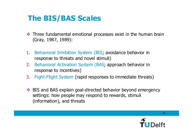Gray’S Behavioral Inhibition System – LUZQ