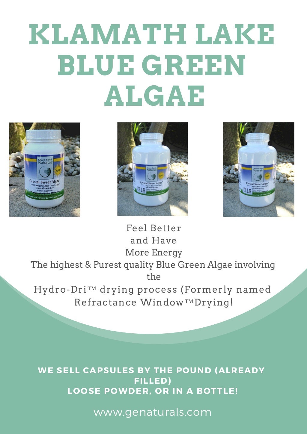 Klamath lake blue green algae