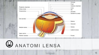 ANATOMI LENSA
15
 