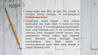  Lensa terdiri atas 66% air dan 33% protein 
berubah seiring penuaan  mempengaruhi
transparansi lensa
 Penglihatan terjadi diawali : sinar cahaya
dipantulkan dari suatu objek  masuk ke mata
melalui kornea  membengkokkan/membiaskan
sinar yang melewati pupil  Iris membuka dan
menutup untuk mengatur jumlah cahaya yang
melewatinya Sinar cahaya akan melewati
lensa (berubah bentuk sehingga dapat
membelokkan sinar lebih lanjut) 
memfokuskannya pada retina yang terletak di
bagian belakang mata
17
 