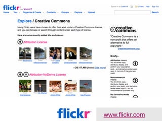 www.flickr.com
 