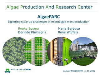 Algae Production And Research Center

                     AlgaePARC
Exploring scale-up challenges in microalgae mass production

       Rouke Bosma                  Maria Barbosa
       Dorinde Kleinegris           René Wijffels




                                        ALGAE WORKSHOP, 16-11-2012
 