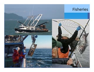 Fisheries
 