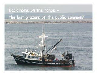 Back home on the range -
the last grazers of the public common?
 
