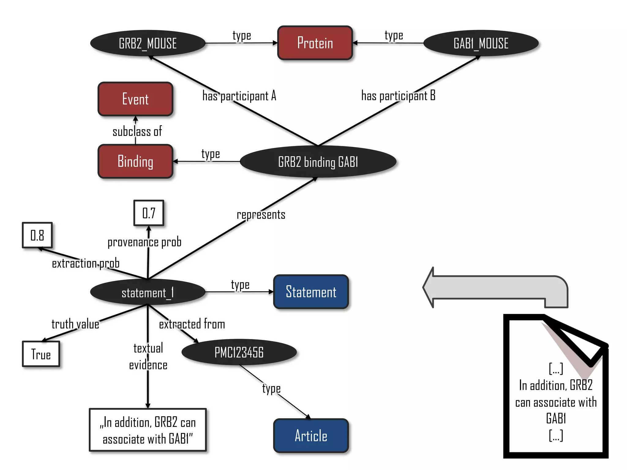 GRB2 binding GAB1
statement_1
textual
evidence
0.8
extraction prob
GRB2_MOUSE GAB1_MOUSE
has participant A has participant B
True
truth value
PMC123456
extracted from
„In addition, GRB2 can
associate with GAB1”
Event
Binding
Protein
Statement
Article
type
type
subclass of
typetype
type
represents0.7
provenance prob
[...]
In addition, GRB2
can associate with
GAB1
[...]
 