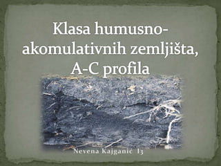 Klasa humusno akomulativnih zemljišta