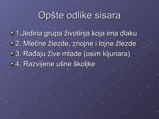 Opšte odlike sisaraOpšte odlike sisara
1.Jedina grupa životinja koja ima dlaku1.Jedina grupa životinja koja ima dlaku
2. Mlečne žlezde, znojne i lojne žlezde2. Mlečne žlezde, znojne i lojne žlezde
3. Rađaju žive mlade (osim kljunara)3. Rađaju žive mlade (osim kljunara)
4. Razvijene ušne školjke4. Razvijene ušne školjke
 